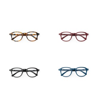 Dakota - Kit of 24 Reading Glasses