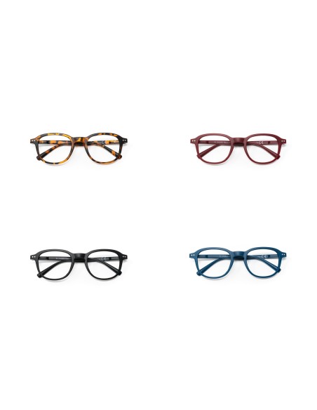 Dakota - Kit of 24 Reading Glasses