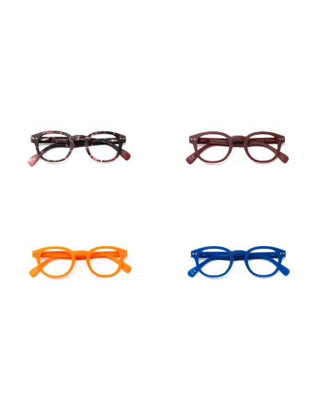 Florida - Kit of 24 Reading Glasses