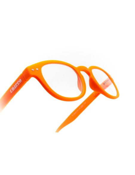 Florida - Kit of 24 Reading Glasses