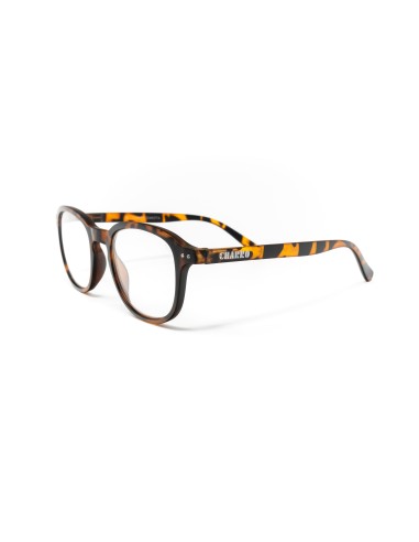 Dakota - Kit of 24 Reading Glasses Dakota - Kit of 24 Reading Glasses