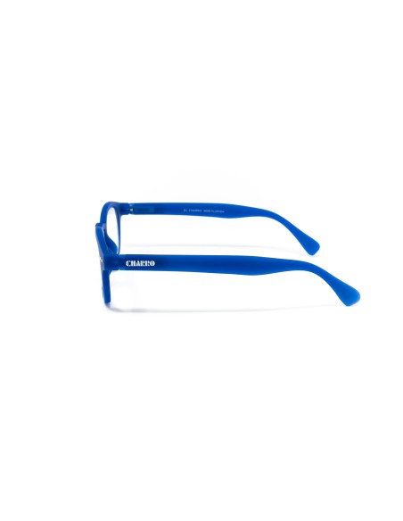 Florida - Kit of 24 Reading Glasses