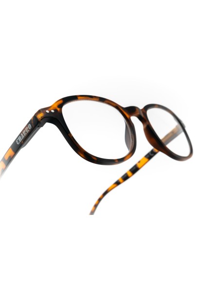 Dakota - Kit of 24 Reading Glasses
