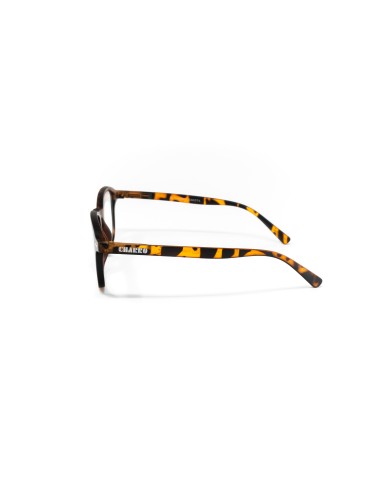 Dakota - Kit of 24 Reading Glasses Dakota - Kit of 24 Reading Glasses