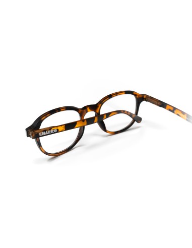 Dakota - Kit of 24 Reading Glasses Dakota - Kit of 24 Reading Glasses