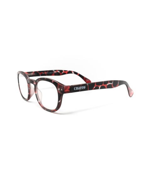 Florida - Kit of 24 Reading Glasses
