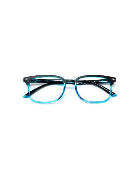 Hawaii - Kit of 24 Reading Glasses