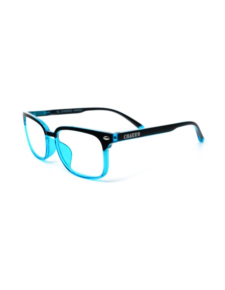 Hawaii - Kit of 24 Reading Glasses