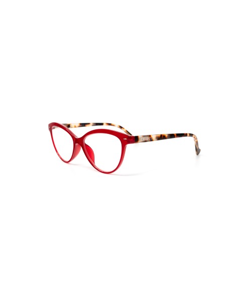 Georgia - Kit of 24 Reading Glasses