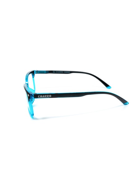 Hawaii - Kit of 24 Reading Glasses