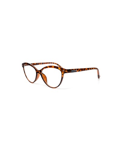 Georgia - Kit of 24 Reading Glasses