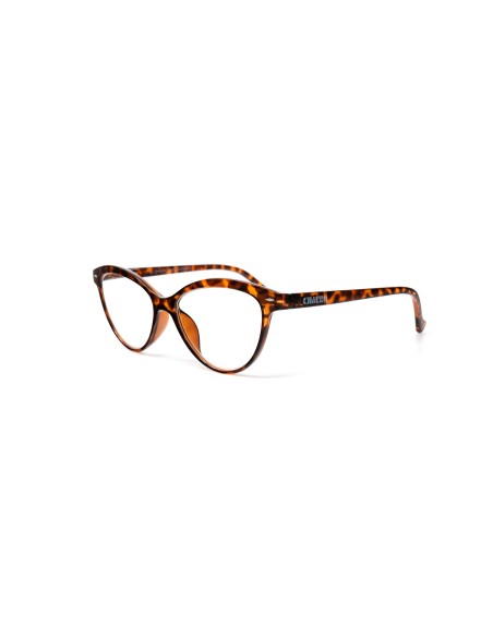 Georgia - Kit of 24 Reading Glasses