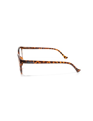 Georgia - Kit of 24 Reading Glasses