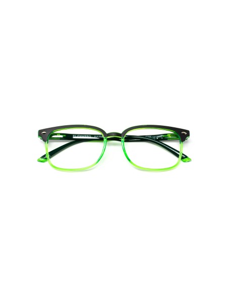 Hawaii - Kit of 24 Reading Glasses