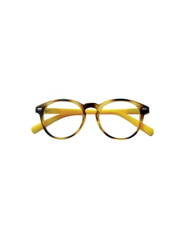 Indiana - Kit of 24 Reading Glasses Indiana - Kit of 24 Reading Glasses