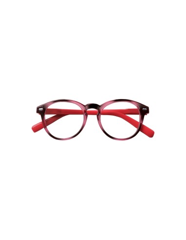 Indiana - Kit of 24 Reading Glasses Indiana - Kit of 24 Reading Glasses