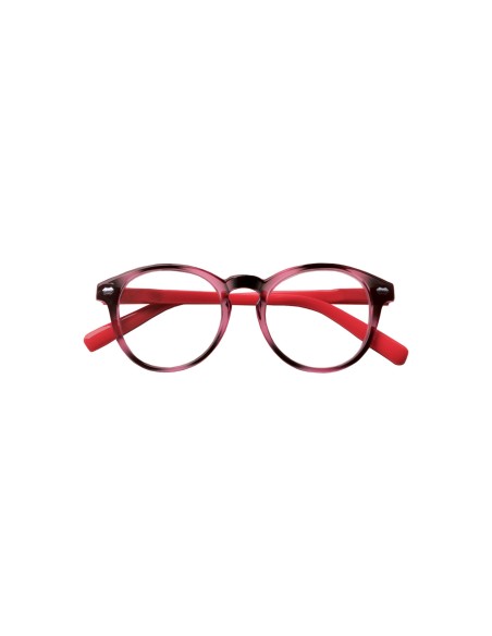 Indiana - Kit of 24 Reading Glasses