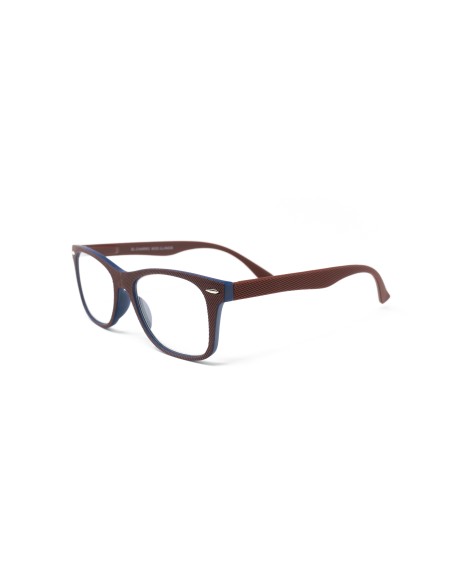 Illinois - Kit of 24 Reading Glasses