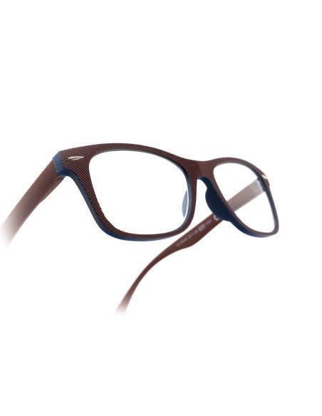 Illinois - Kit of 24 Reading Glasses
