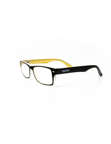 Kansas - Kit of 24 Reading Glasses