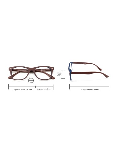 Illinois - Kit of 24 Reading Glasses