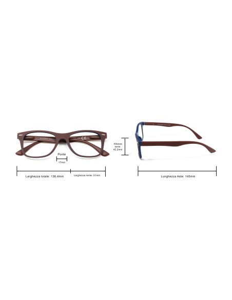 Illinois - Kit of 24 Reading Glasses