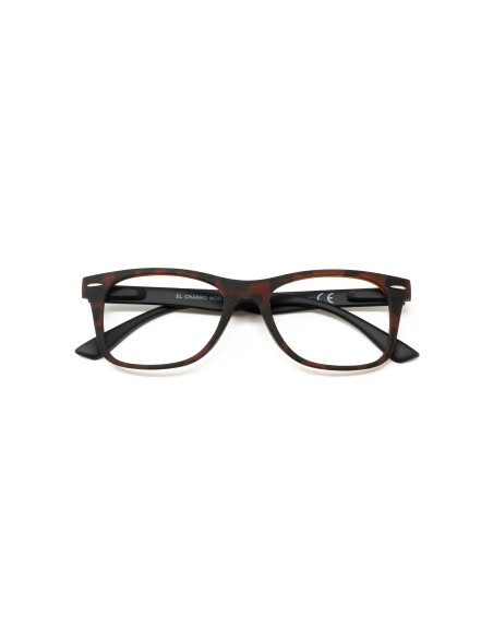 Illinois - Kit of 24 Reading Glasses