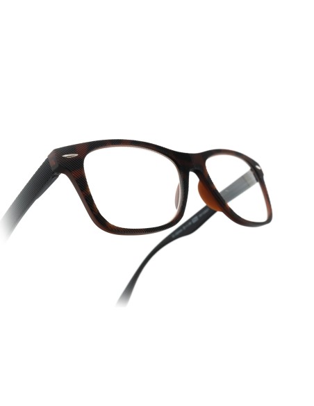 Illinois - Kit of 24 Reading Glasses