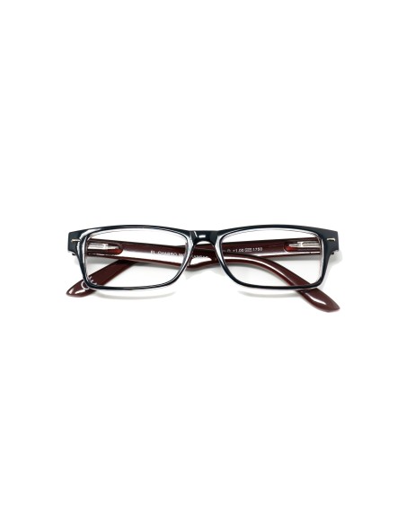 Kansas - Kit of 24 Reading Glasses