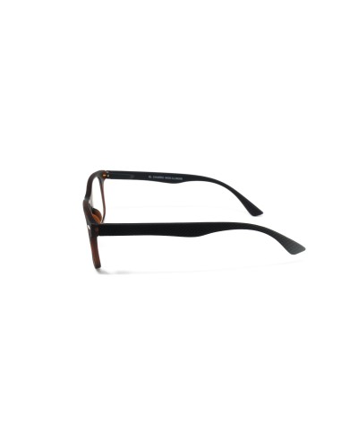 Illinois - Kit of 24 Reading Glasses