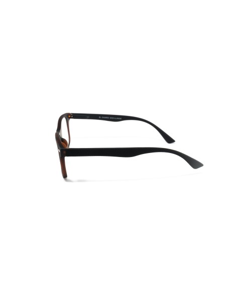 Illinois - Kit of 24 Reading Glasses
