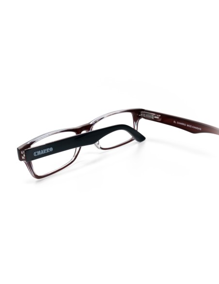 Kansas - Kit of 24 Reading Glasses