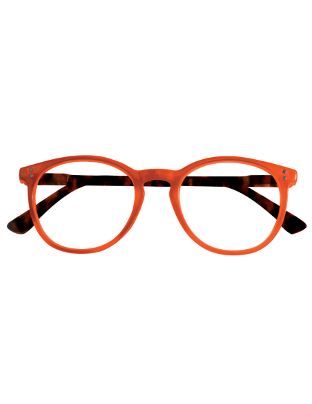 Kit Louisiana da 24 occhiali lettura