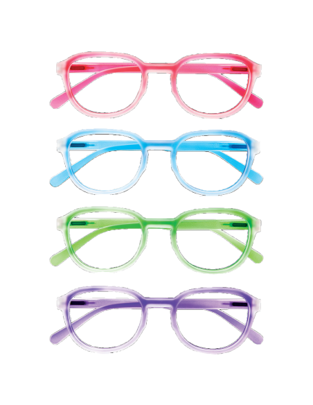 Maine - Kit of 24 Reading Glasses