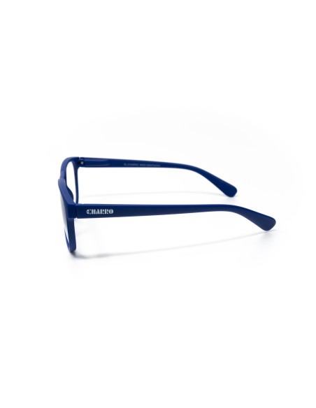 Kentucky - Kit of 24 Reading Glasses