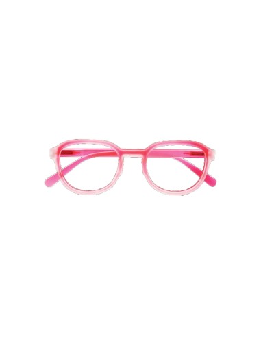 Maine - Kit of 24 Reading Glasses