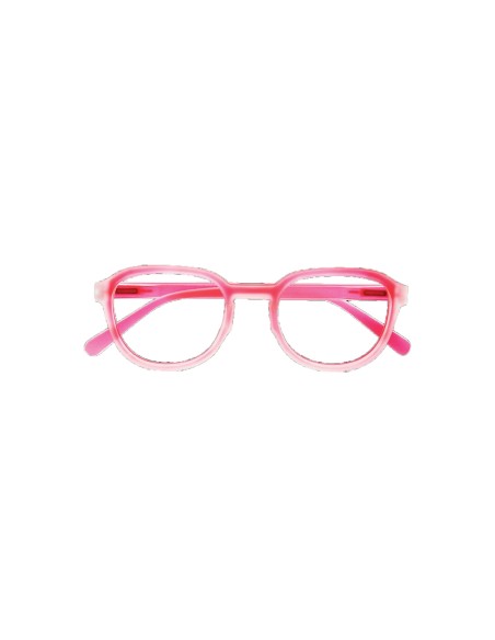 Maine - Kit of 24 Reading Glasses