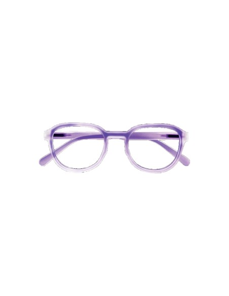 Maine - Kit of 24 Reading Glasses