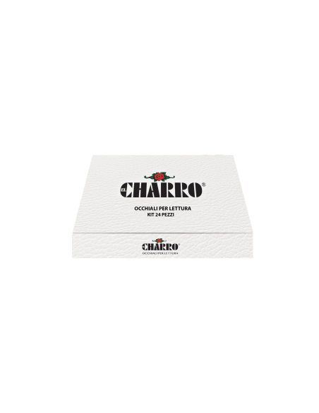 Michigan - Kit of 24 Reading Glasses