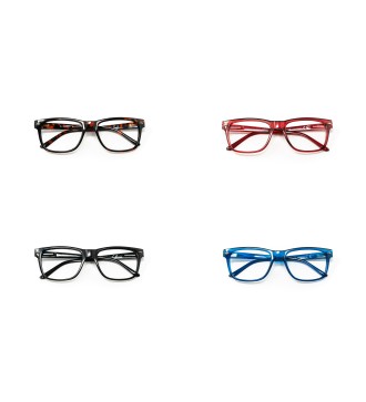 Minnesota - Kit of 24 Reading Glasses