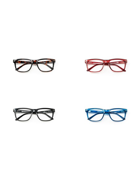 Minnesota - Kit of 24 Reading Glasses