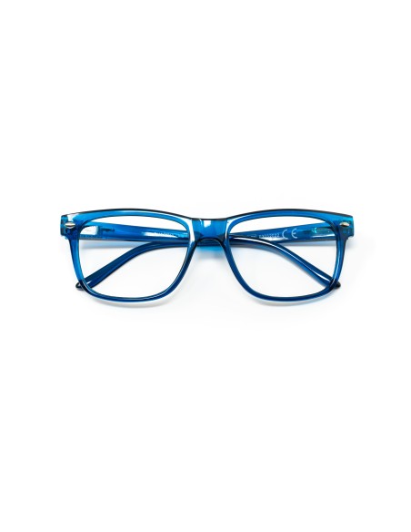 Minnesota - Kit of 24 Reading Glasses