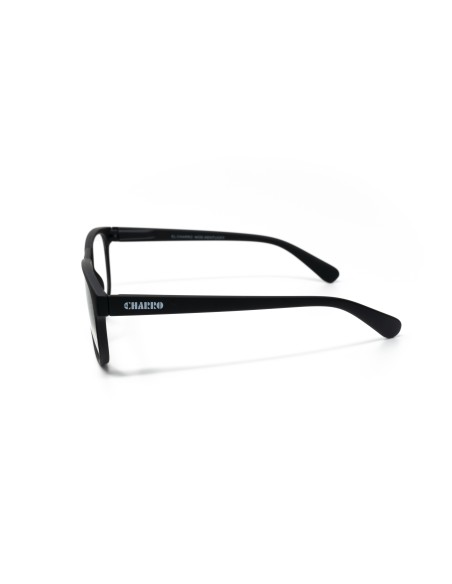 Kentucky - Kit of 24 Reading Glasses