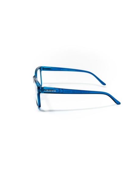 Minnesota - Kit of 24 Reading Glasses