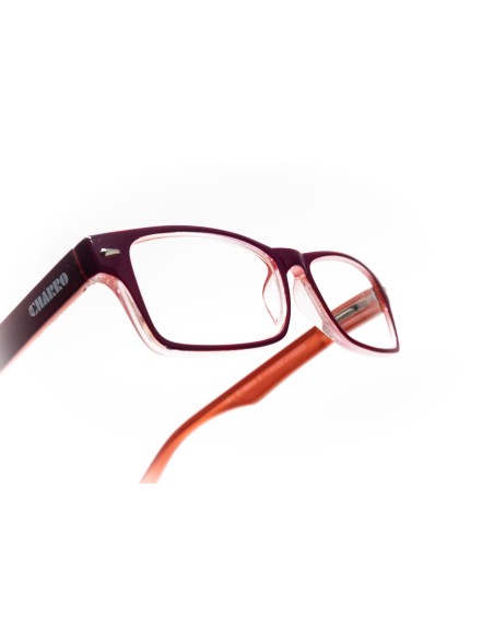 Kansas - Kit of 24 Reading Glasses