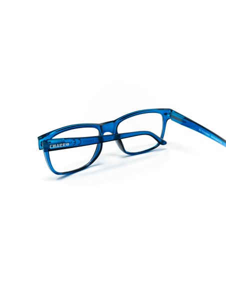 Minnesota - Kit of 24 Reading Glasses