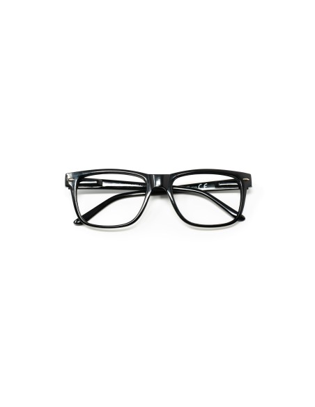 Minnesota - Kit of 24 Reading Glasses