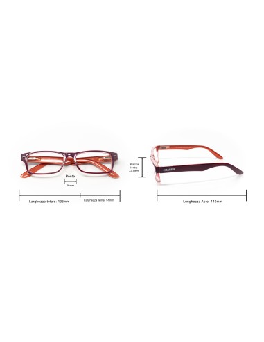 Kansas - Kit of 24 Reading Glasses