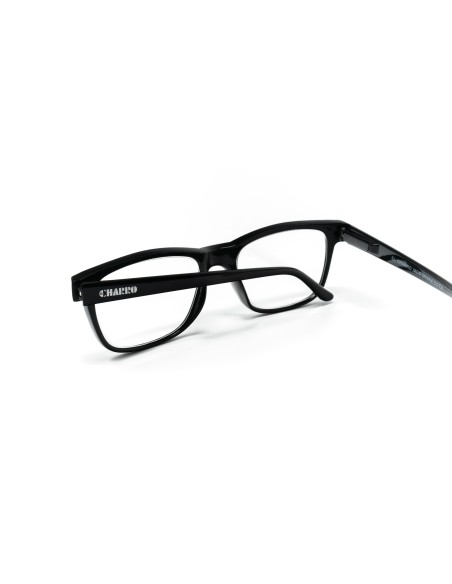 Minnesota - Kit of 24 Reading Glasses