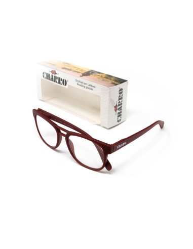 Kentucky - Kit of 24 Reading Glasses